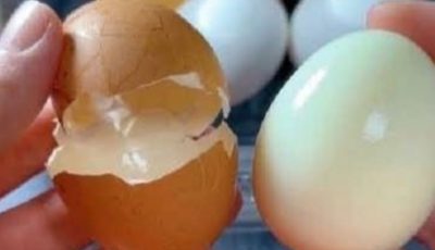 When Cooking Eggs, Avoid Cold Water Pots – Learn the Correct Way to Keep Eggs Fresh