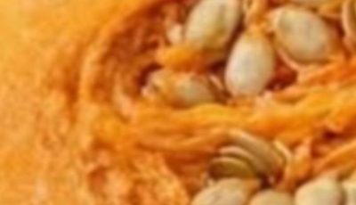Homemade Pumpkin Remedies for High Blood Sugar