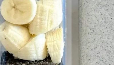 Banana, Chia, and Oat Power Smoothie