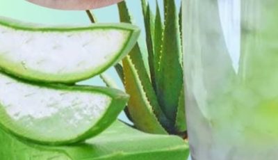 Aloe Vera with Cinnamon: The Home Remedy That Protects Your Health and Vision