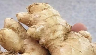 Grated ginger, onion, garlic and lemon juice