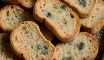 Pulled Out Some Stale Bread from the Pantry — What Should I Do?