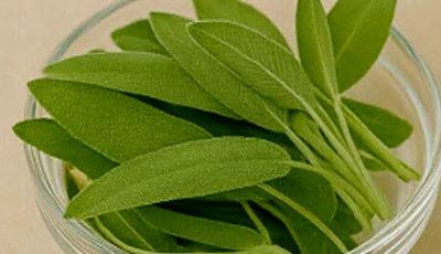 A Natural Miracle for Brain Health, Inflammation, and Joint Pain