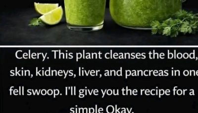 Cleanses the Liver 150 Times More Powerful Than Garlic and Lemon: Grandma’s Miracle Recipe