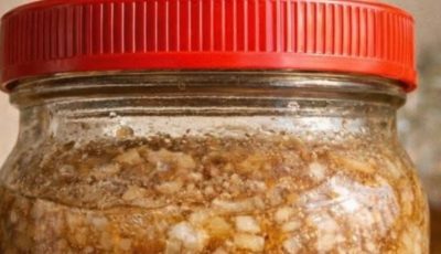 Grated ginger, onion, garlic, lemon juice and honey. A teaspoon a day