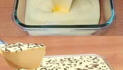 QUICK AND EASY 2 INGREDIENT DESSERT – YOU’LL WANT TO MAKE THIS CREAMY TREAT EVERY DAY