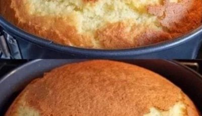 Homemade Sponge Cake
