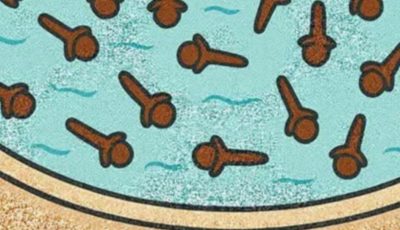 Clove Water Sitz Baths for Women: A Gentle Guide to Hygiene and Comfort