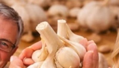 Garlic: The Natural Antibiotic that Fights Infections