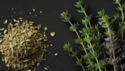 The Most Powerful Herb for Your Health: Thyme Benefits, Infusions, and Natural Recipes