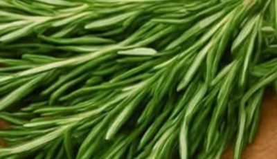 The Versatile Rosemary: Your Home’s Secret Weapon