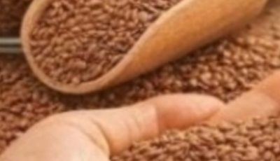 Cancer is afraid of These 6 Seeds: Fight Cancer Naturally